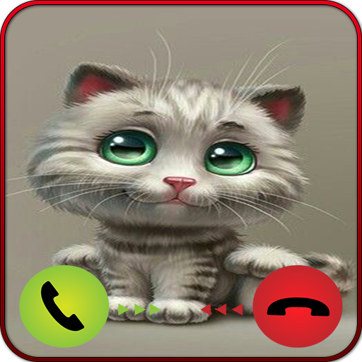 Call From Cute Cat