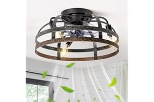 G-SAFAVA 16" Ceiling Fans with Lights and Remote, 6 Wind Speeds 3 Timing Quiet Flush Mount Low Profile Caged Ceiling Fans for Bedroom Living Room Kitchen Farmhouse Small Reversible Ceiling Fan, Black