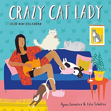crazy cat lady figure amazon