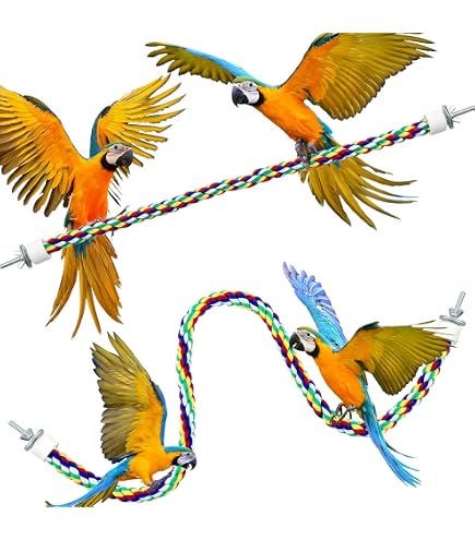 Bird Jumping Rope Rat Toys Weewooday 2 Pack Bird Rope Perches - Colorful Climbing Toys ...
