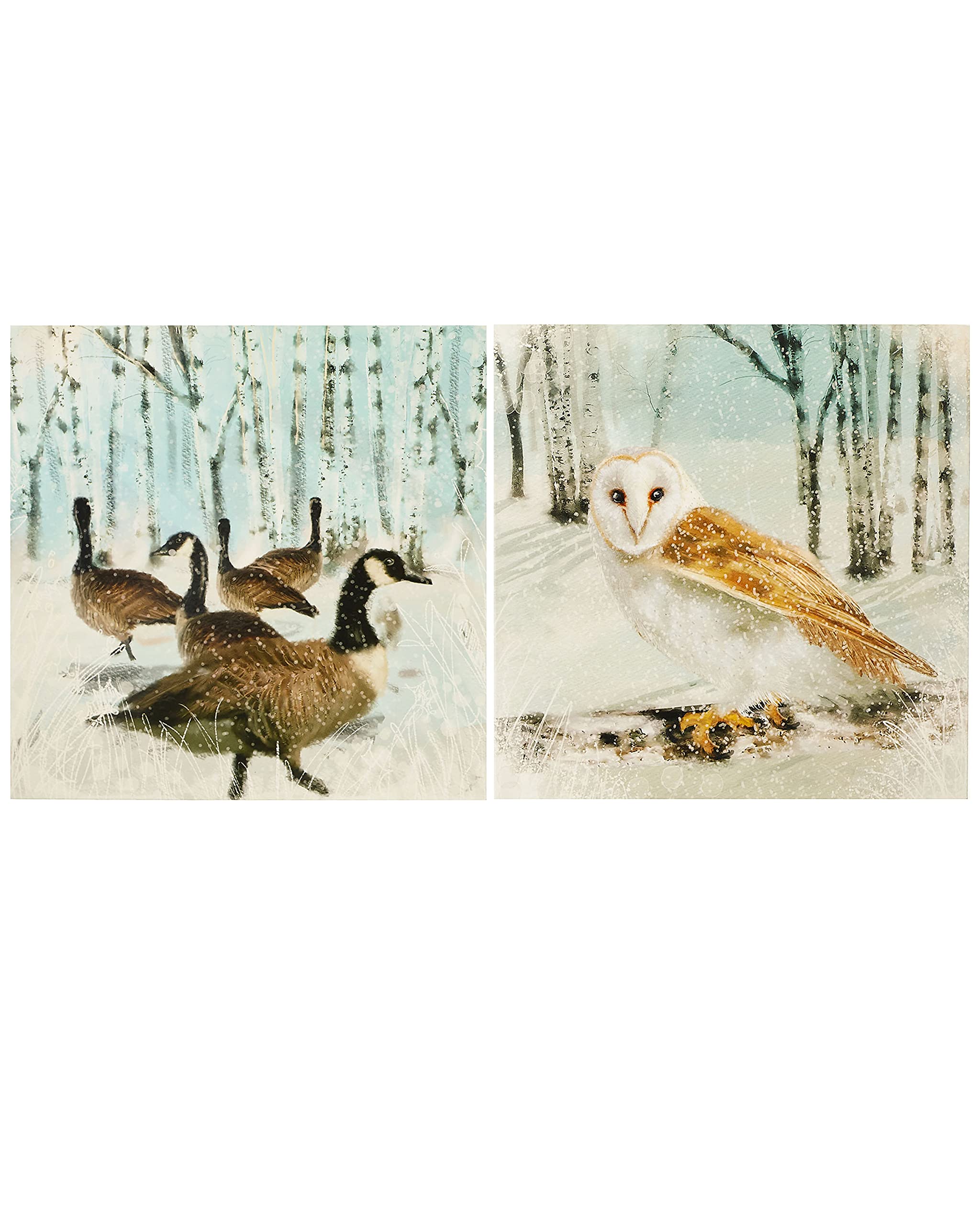 Box of 16 Winter Birds Owl & Geese RSPCA Charity Christmas Cards In 2 Designs