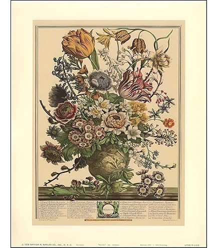 Amazon.com: Robert Furber - Twelve Months of Flowers 1730/March