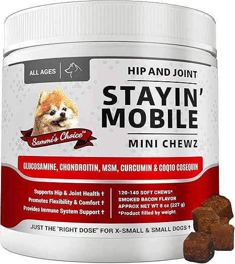 glucosamine chondroitin msm for dogs dosage