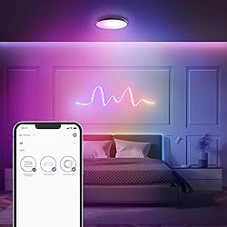 Feit Electric Smart Ceiling Light