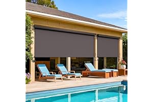 WISTERIA LANE Outdoor Roller Shade (8'W X 8'H) 420GSM New Material with 95% UV Protection, Cordless Aluminum Outdoor Blinds with Crank Handle and Valance, Patio Shade for Shading, Privacy Protection, Brown