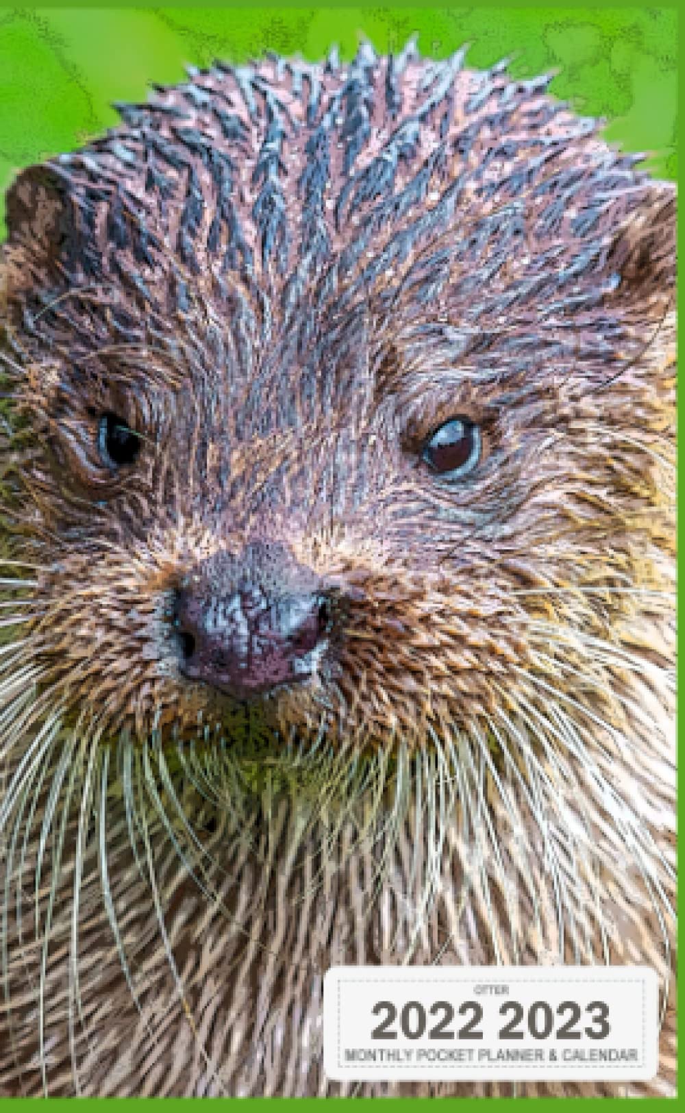 Otter Calendar 2023 Otter 2022 2023 Monthly Pocket Planner And Calendar: Personal Two Years  Monthly Pocket Planner And Calendar From Jun 2022 To Dec 2023, With  Password ... Organizer Calendar Gift For Otter Lovers: Fox Dexter Clo:  9798755990875: Books