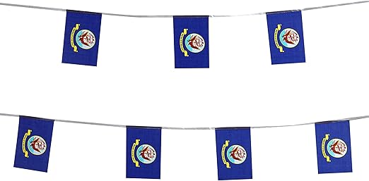 Amazon Com Tsmd 100 Feet Us Navy Flag Small Mini United States