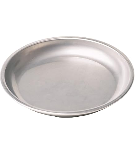 Amazon.com: MSR DeepDish Camping Plate, Large Gray | DeepDish