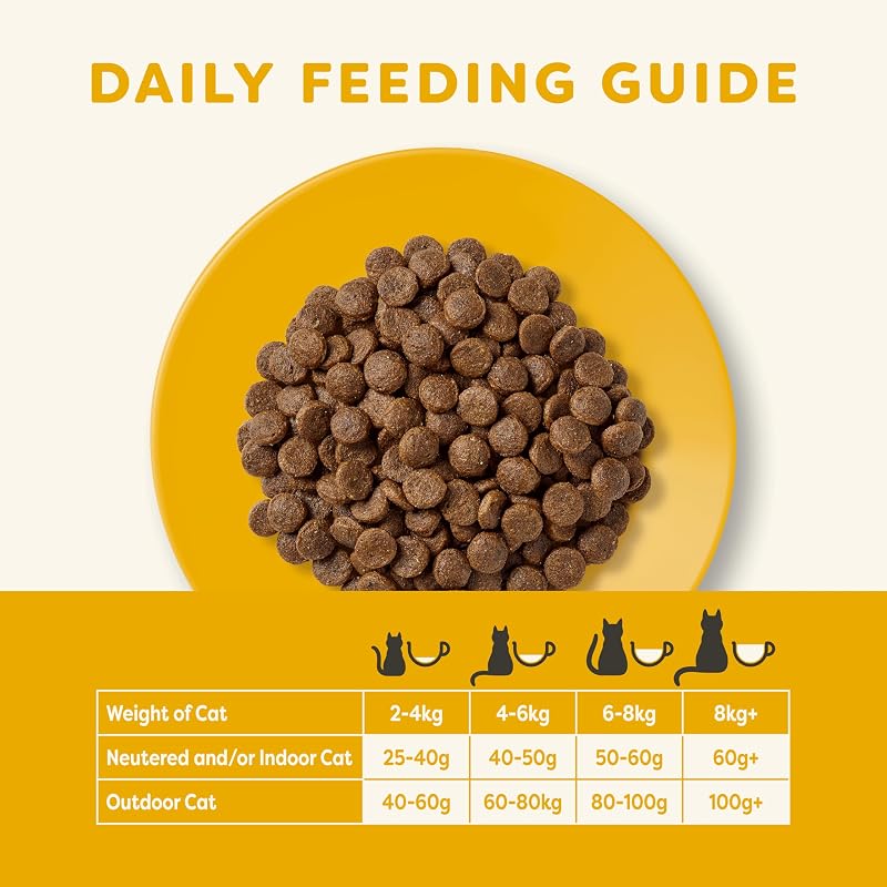 Trockenfutter für Senior-Katzen 2 kg – Huhn Kroketten 1 x 2 kg, getreidefrei, proteinreich, 100% natürliche Zutaten