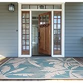 Couristan Monaco Indoor Outdoor Area Rug – Coastal Flora 2' x 3'7" in Ivory Turquoise – Flatwoven, Hose Washable, Pet Friendl
