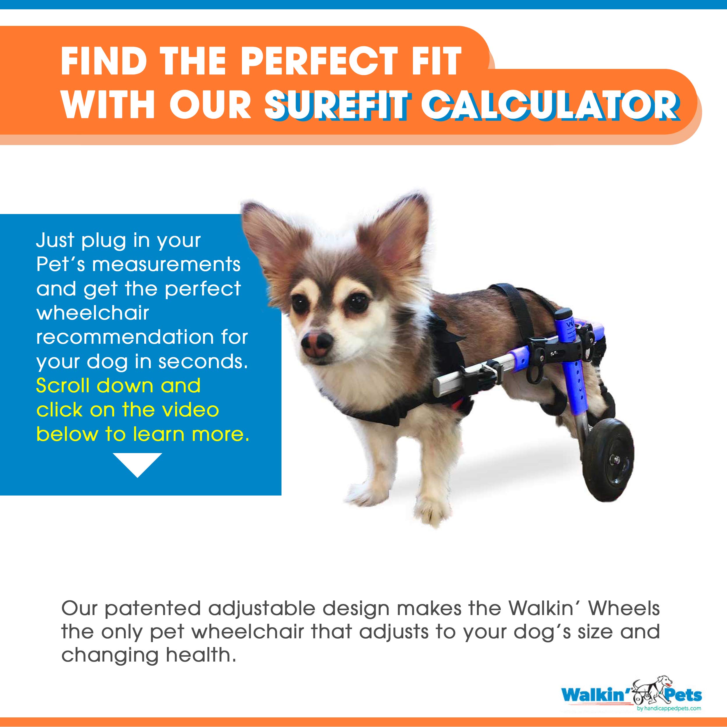Walkin' Wheels Dog Wheelchair for Small Dogs 1125 Pounds