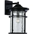 Trans Globe Imports 40381 BK Transitional One Light Wall Lantern from Avalon Collection in Black Finish,