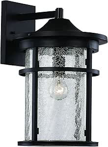 Trans Globe Imports 40381 BK Transitional One Light Wall Lantern from Avalon Collection in Black Finish,