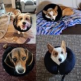Emwel Pet Inflatable Collar for Large Dogs Comfort Recovery L view 8