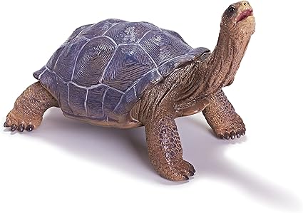 tortoise figure
