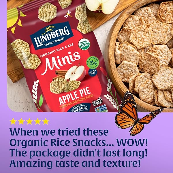 LUNDBERG ORGANIC APPLE PIE RICE CAKE MINIS, GLUTEN-FREE, WHOLE GRAIN, USDA CERTIFIED, NON-GMO PROJECT VERIFIED, 5 OZ