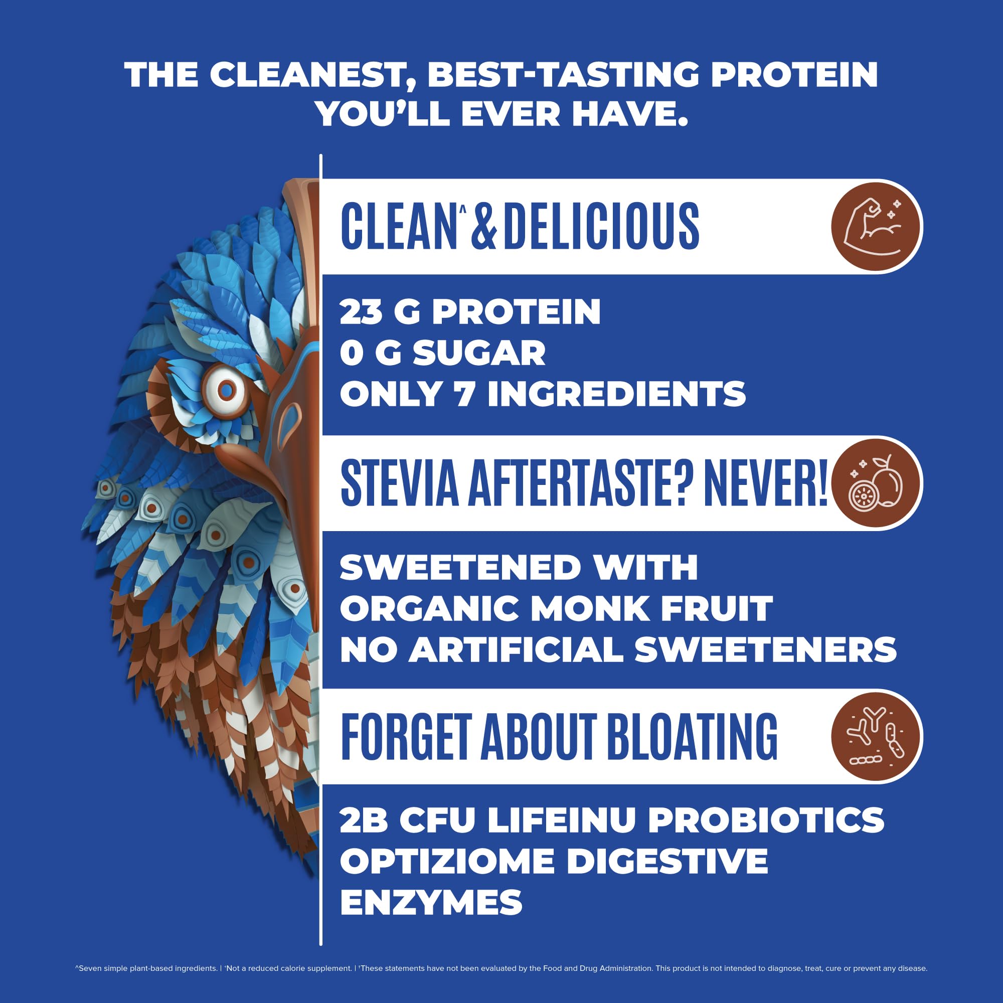 BIRDMAN Falcon Vegan Protein Powder Organic, Stevia & Sugar Free, Plant Based Protein, Low Carb, Dairy Free, Keto, Non Whey Protein, Probiotic, Pea Protein | Chocolate Flavor - 37 Servings - 2.64lb