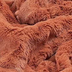 TOONOW Faux Fur Luxury Throw Blanket,Double Side