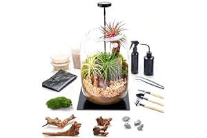 LUCKYRUNES Terrarium Kit with Grow Light – 24-Piece DIY Glass Terrarium Set with Tools, Moss, Driftwood, Soil & Pebbles – Mini Gardening Kit for Air Plants, Succulents & Indoor Desk Decoration Gift
