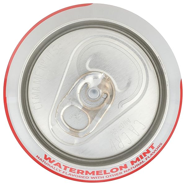 CLEAN CAUSE ORGANIC SPARKLING WATERMELON MINT YERBA MATE, 16 FZ