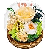 SAKSUN Preserved Flowers Forever Rose: Birthday Gifts for Women Flowers for Delivery Prime - Rose in Glass Dome & LED Light - Eternal Love for Mom Wife Girlfriend on Mother's Day Birthday Anniversary