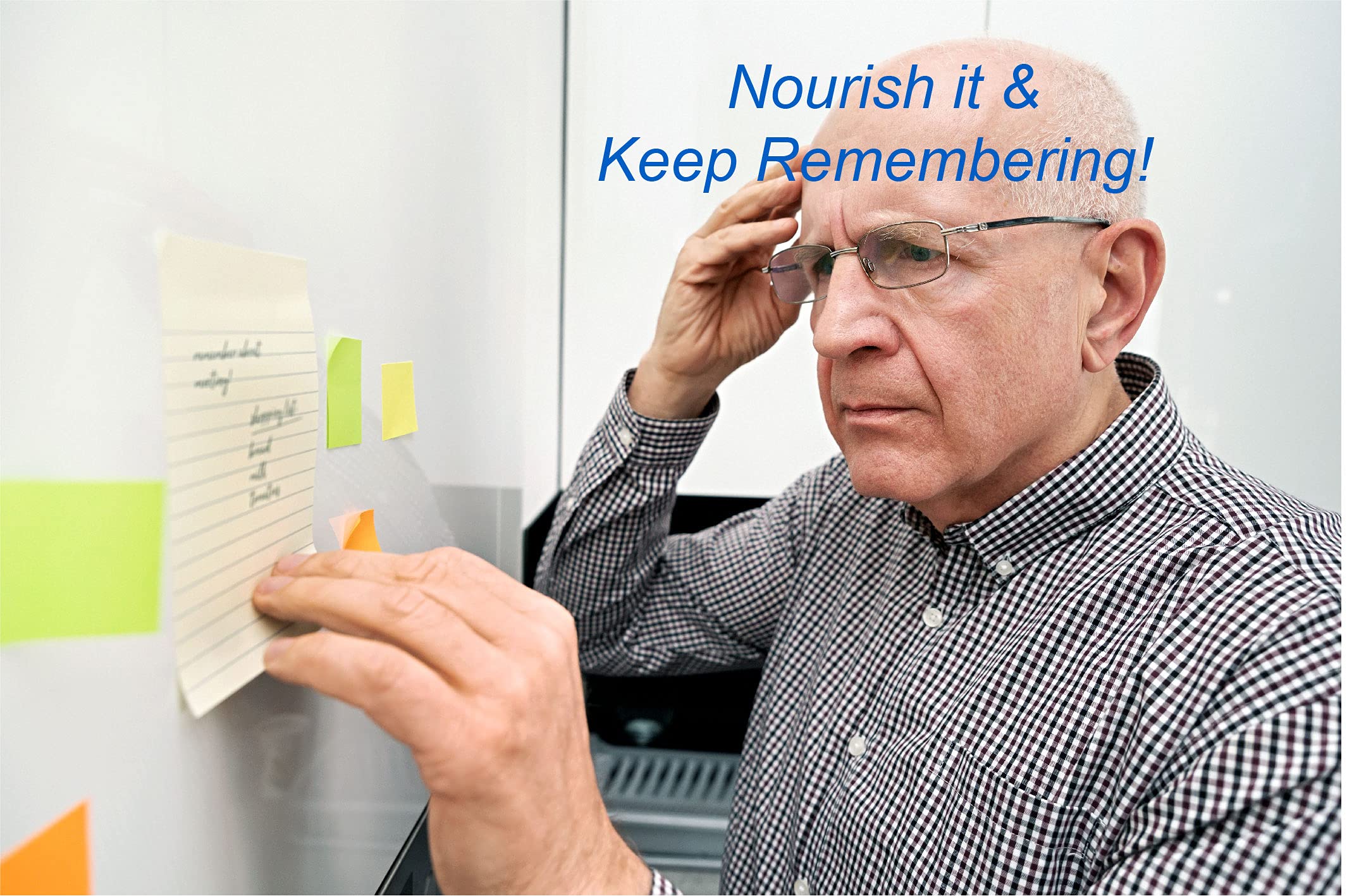 Bodymune MemorySupport Brain Health Formula | Supports Mental Clarity, Recall & Concentration* | USDA Organic Nootropic Blend with Ginkgo Biloba & Ashwagandha | 60 Vegan Caps | Made in USA