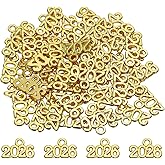 MECCANIXITY Metal Year Number Charm, 2026 Year Charm Graduation Tassels for DIY Jewelry Making, Necklace Bracelets, Keychain, Charm
