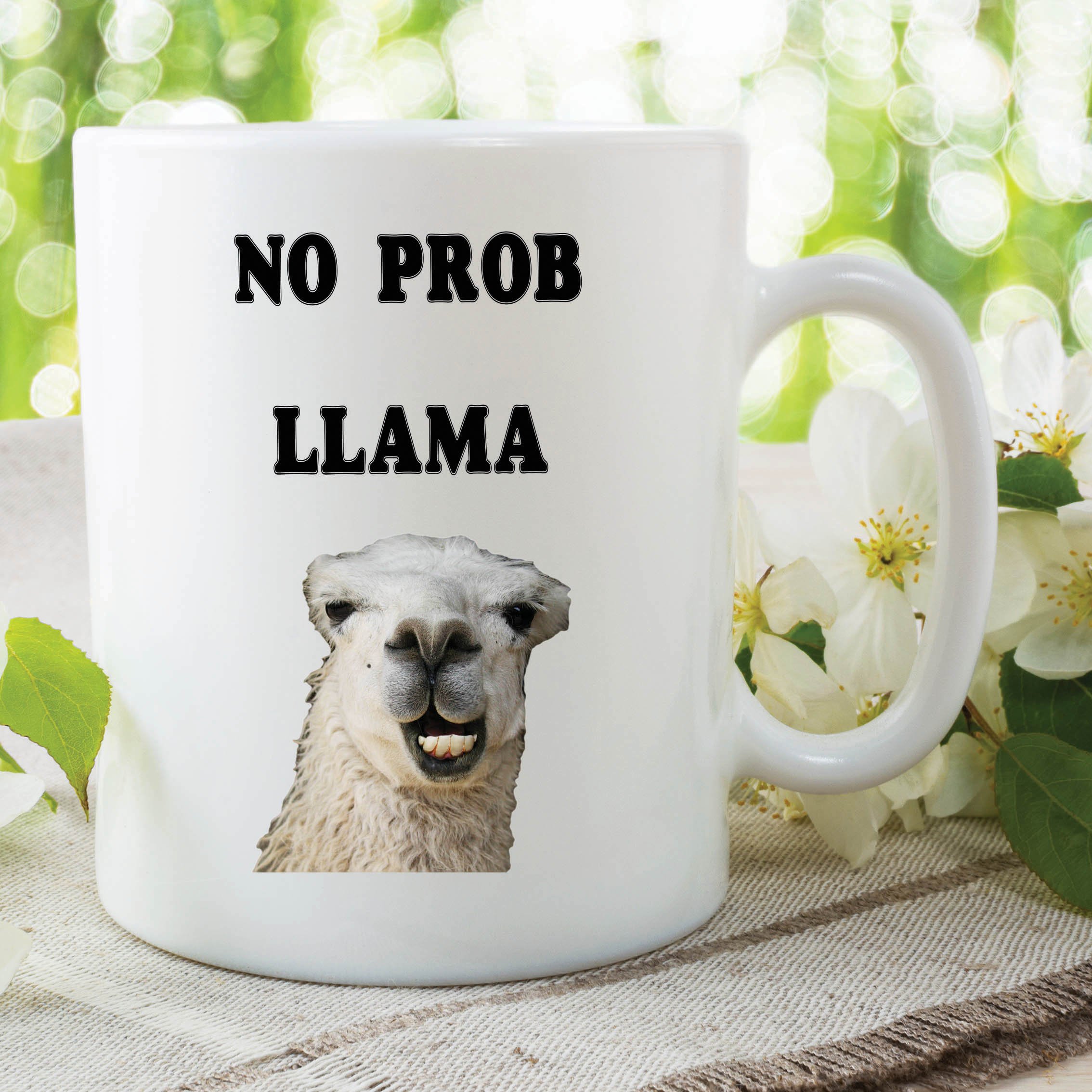 Funny Novelty Mugs Joke Adult Humour No Prob Llama Work Office Coffee WSDMUG614
