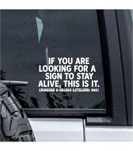 SMILEY FACE With GUNS Back Off! - Vinyl Decal Sticker Car Truck Van Suv