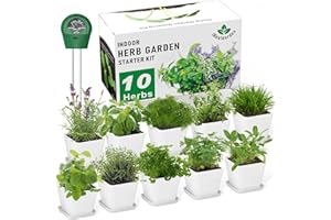 IREALGARDEN Herb Garden Kit Indoor Herb Starter Kit - 10 Variety Herbs with Complete Herb Growing Kit - Kitchen Window Herb Garden - Unique Gardening Gifts for Women & Men