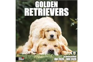 RED EMBER Golden Retrievers 2026 Wall Calendar 12 Month | 12" x 24" Open | Thick & Sturdy Paper | Giftable | Calendar 2026