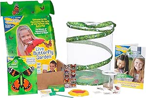 Amazon.com: Insect Lore Live Butterfly Growing Kit Gift Box Set - 5