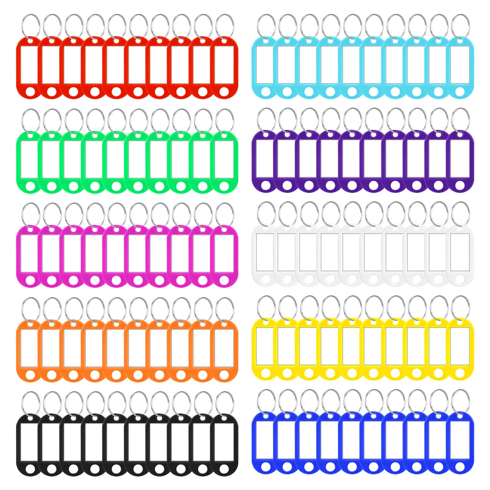 Vicloon Key Tags with Labels, 100 PCS Key Tags with Split Ring, Sturdy & Durable Plastic Key Fobs Easy to Read, Key Fobs Labels ID Keyring Tags for Luggage Pet Name Tags, 10 Colors
