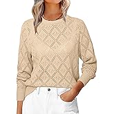 Simplee Womens Fall Sweaters 2025 Casual Long Sleeve Crochet Knit Crewneck Hollow Out Lightweight Soft Pullover Sweater Tops