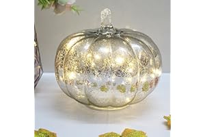 DEYIVELA Mercury Glass Pumpkin Light with Timer, with 10 Fairy Lights Inside, Battery Operated Led Pumpkin Lamp, Ideal for Halloween Fall Decoration, Thanksgiving Rustic Decor, Xmas Décor (Silver)