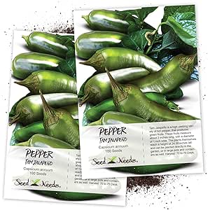 Amazon.com : Seed Needs, Tam Jalapeño Pepper (Capsicum annuum) Twin