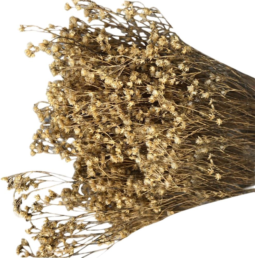 WDOIT 1pcs Natural Dried Flower Gypsophila Bouquet, For DIY Home Garden Home Wedding Party Decoration (B)