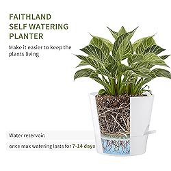 FaithLand 2-Pack 8 Inch Planter Pots for Indoor