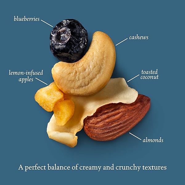 SAHALE SNACKS BERRY MACAROON ALMOND TRAIL MIX, 7 OZ POUCHES (1 PACK) – DRY-ROASTED DELUXE MIXED NUTS – COCONUT, BLUEBERRIES & APPLES – NON-GMO, KOSHER TRAIL MIX & CERTIFIED GLUTEN-FREE SNACKS