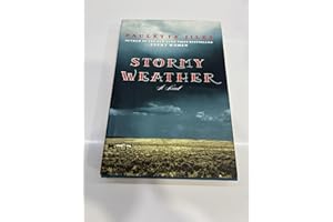 Stormy Weather: A Novel