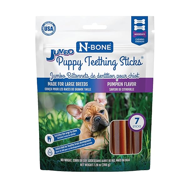 N-BONE JUMBO PUPPY TEETHING STICKS PUMPKIN FLAVOR DOG...