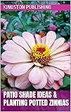 Patio Shade Ideas & Planting Lush Potted Zinnias