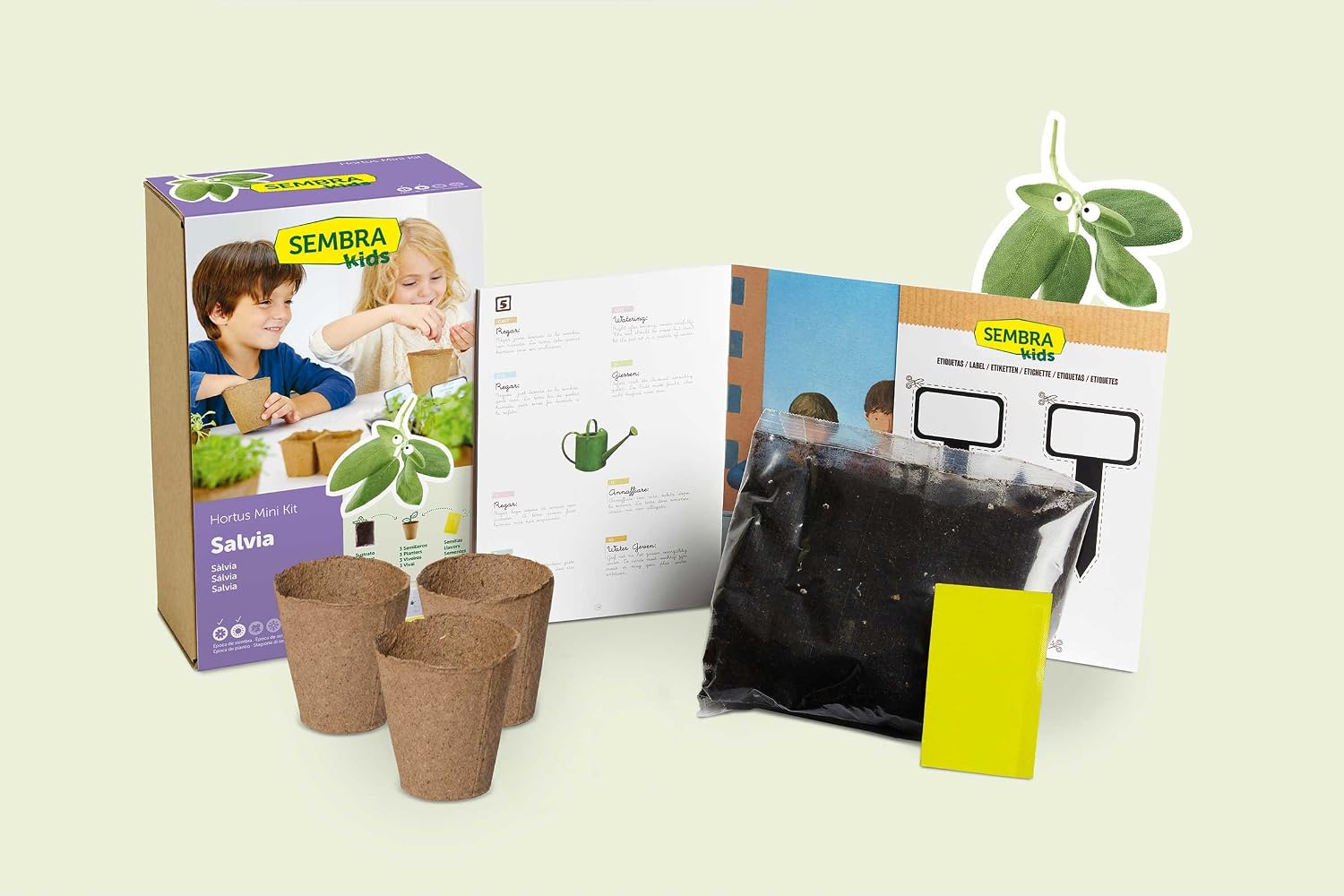 SEMBRA - juego educativo, Kit huerto Orégano: Amazon.es: Jardín