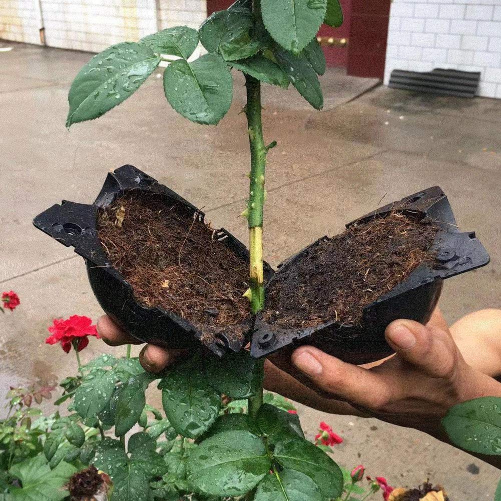 BestTas 3PCS Plant Rooting Device - Image 5