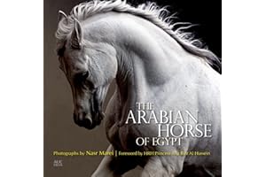 The Arabian Horse of Egypt