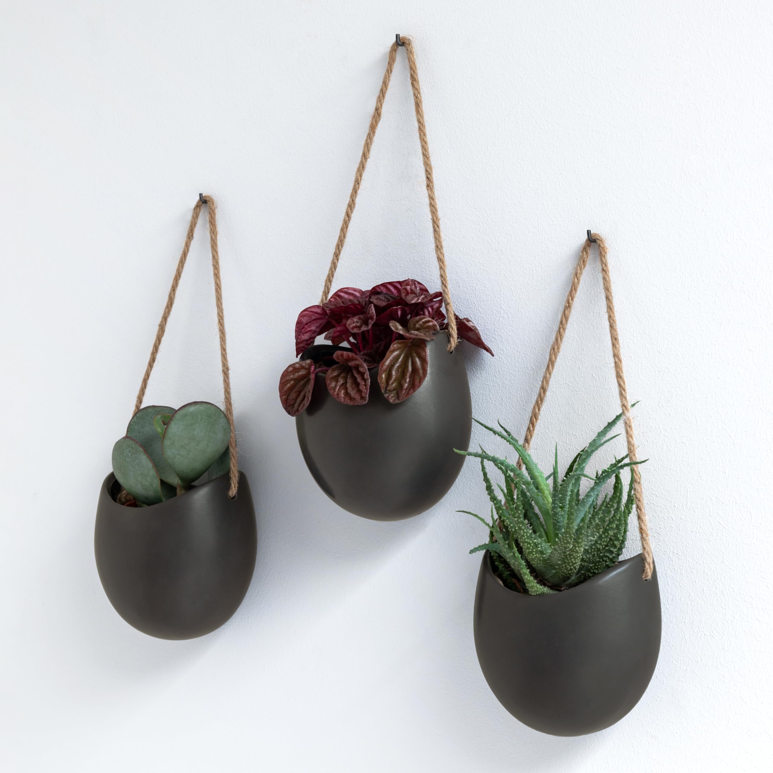 Photo 1 of Kazai. Wall Planters -Ellie- | Hanging Ceramic Plant Pots 3 Pieces | Wall Decoration for Indoors, Balcony and Garden | Graphite (Matte)