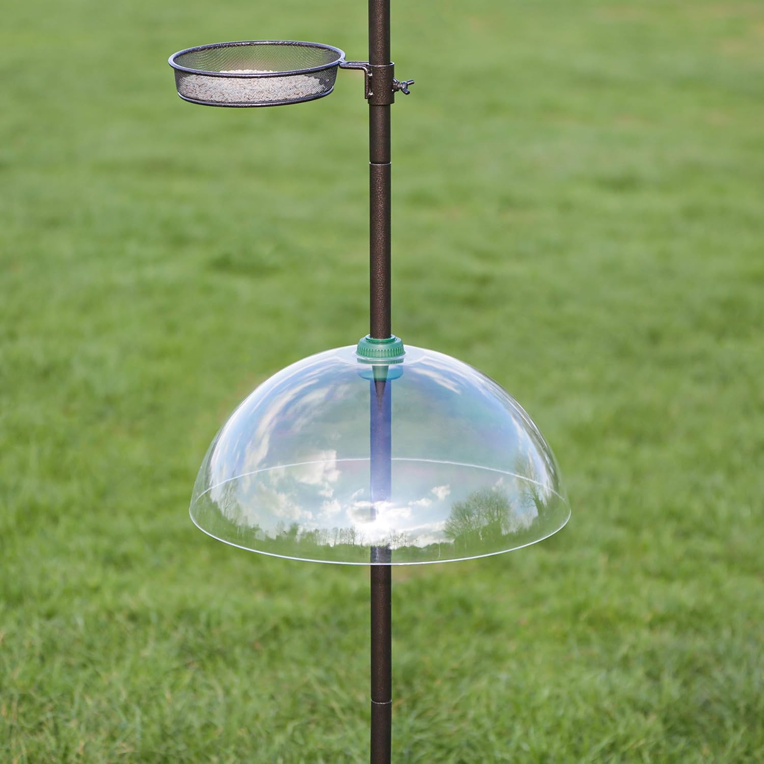 Natures Market BFBAFFLE Plastic Squirrel Baffle, Transparent, 40 x 19 x 40 cm - Image 3