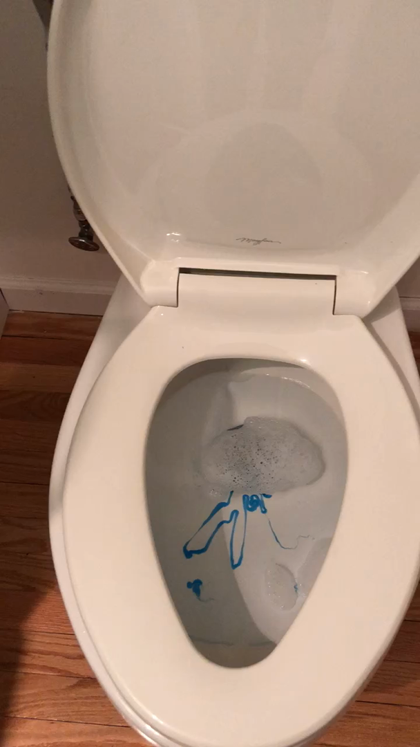 Customer reviews EcoFlush B8100 Pressure Assisted Dual