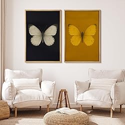 MUDECOR Framed Canvas Print Wall Art Set Butterfly