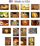 30 Ernst Haeckel Stock Illustrations, Royalty-Free Vector...